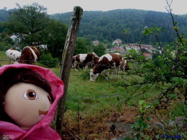 Gite Rural Les Maires D'Avaux Saint-Bresson Екстер'єр фото